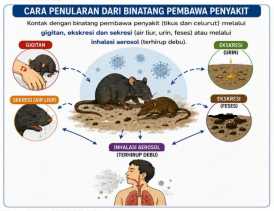 Antisipasi Peningkatan Kasus, Perkuat Kewaspadaan Virus Hanta