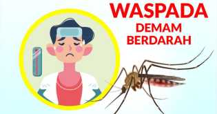 Masyarakat Diimbau Waspadai DBD, Lakukan 3M Plus